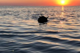 У Чорному морі біля берегів Болгарії виявили якірну міну