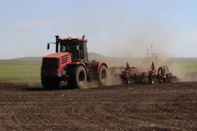 Sowing has started in Ukraine