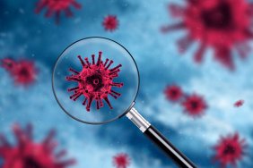 В Германии объявили о завершении пандемии коронавируса