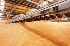 Румунія розглядає можливість тимчасового заборонення імпорту українського зерна