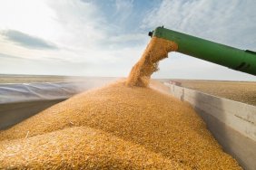 Польща планує перевіряти всю українську партію зерна, яка транзитом проходить через її кордони