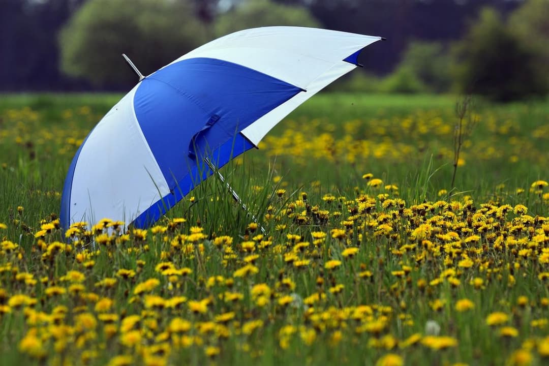5-8 აგვისტოს მოსალოდნელი ამინდი საქართველოში
