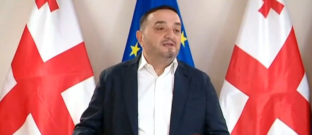 კობა ნაყოფია – ხატია დეკანოიძე დღეიდან შეუდგება საქმიანობას ეროვნული კომიტეტის თავმჯდომარის მოადგილის პოზიციაზე