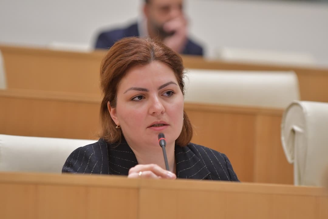 Opposition MP: US Senate hearing “reaffirmed” importance of October elections