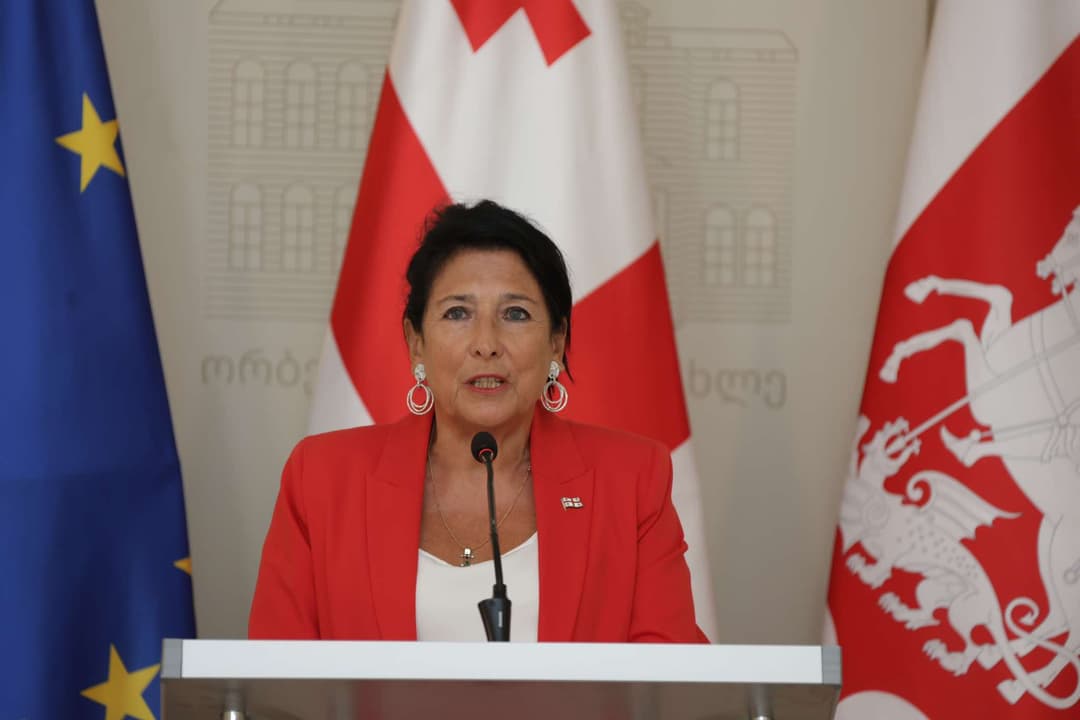 სალომე ზურაბიშვილმა 17 მსჯავრდებული შეიწყალა