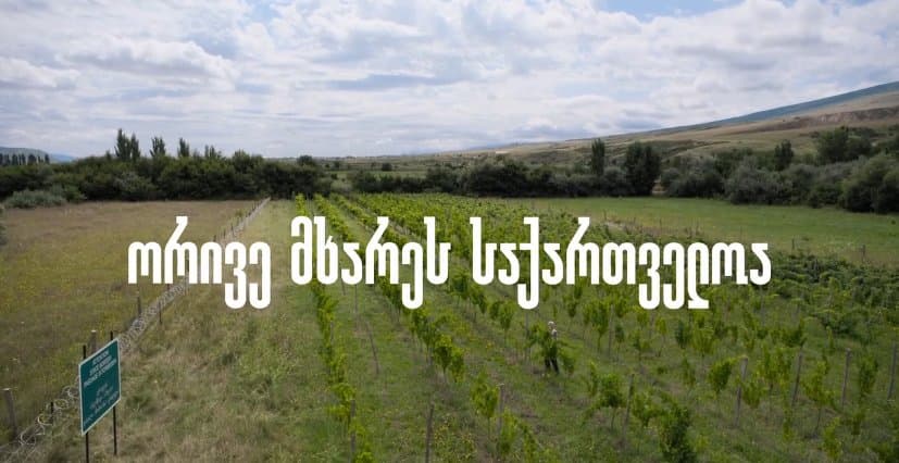 გვახსოვდეს, ყველა მავთულხლართი და ოკუპაცია დროებითია – VIDEO