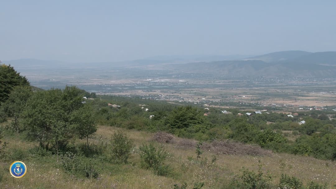 დიდი ოდენობით სახელმწიფო ქონების მოტყუებით დაუფლების ფაქტზე ერთი პირი დააკავეს