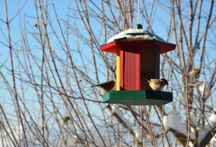 10-14 თებერვალს მოსალოდნელი ამინდი საქართველოში