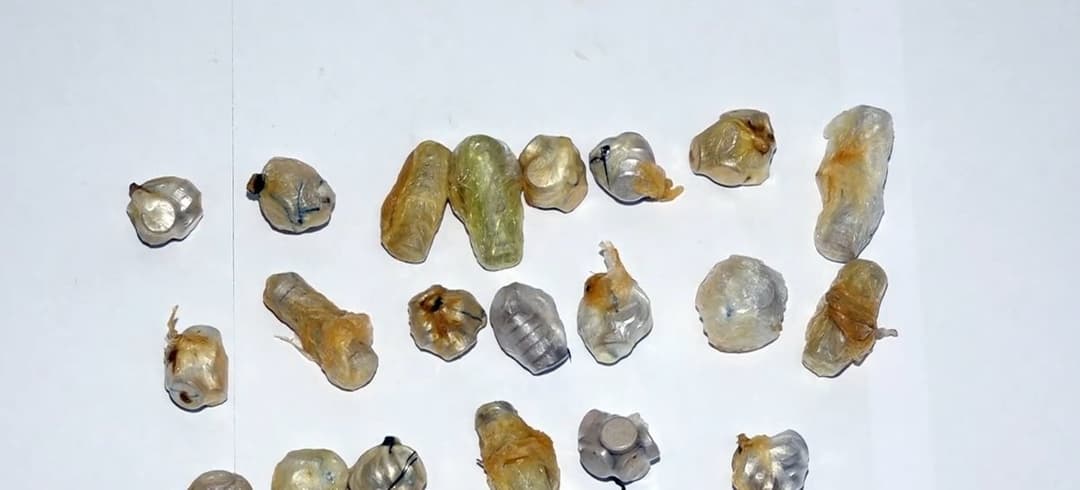 შსს-მ ნარკოდანაშაულისთვის 18 პირი დააკავა, მათგან 8 ნარკორეალიზატორია