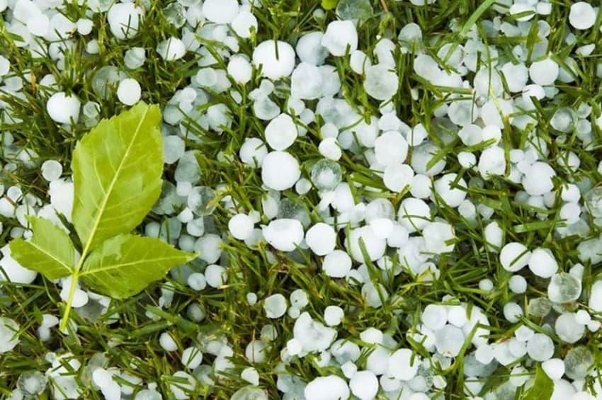 სეტყვამ ლაგოდეხის მუნიციპალიტეტის რამდენიმე სოფელი დააზარალა