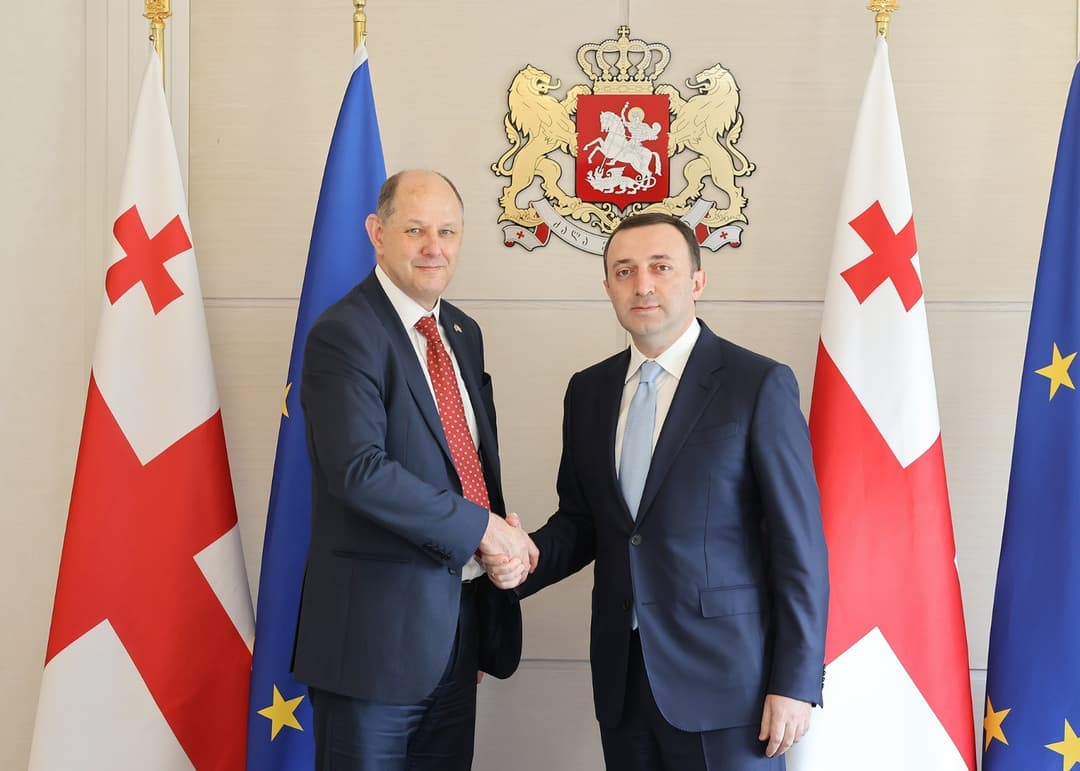 ირაკლი ღარიბაშვილი გაერთიანებული სამეფოს საგარეო, თანამეგობრობისა და განვითარების საქმეთა სახელმწიფო მდივნის მუდმივ მოადგილეს შეხვდა