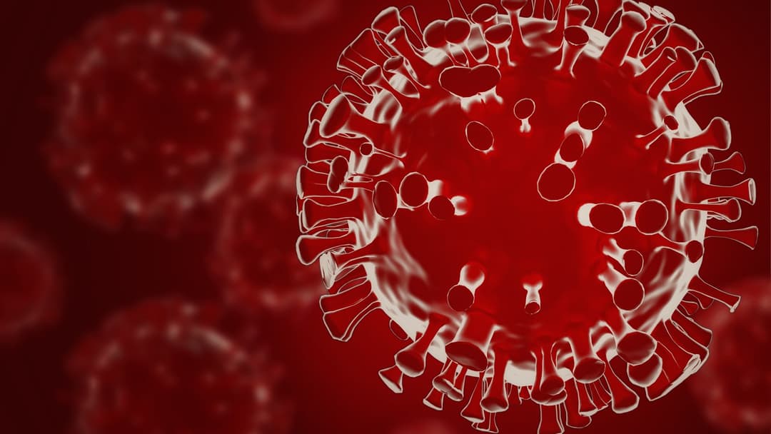 ინფიცირების 2 922 ახალი შემთხვევიდან 1 380 თბილისში გამოვლინდა