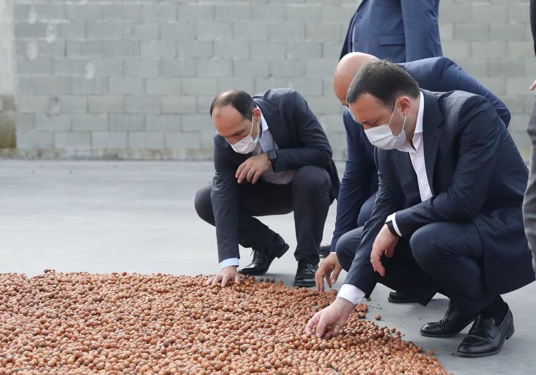 ირაკლი ღარიბაშვილი – მთავრობა სოფლის მეურნეობის დარგისა და ახალი საწარმოების მხარდაჭერას მომავალშიც განაგრძობს