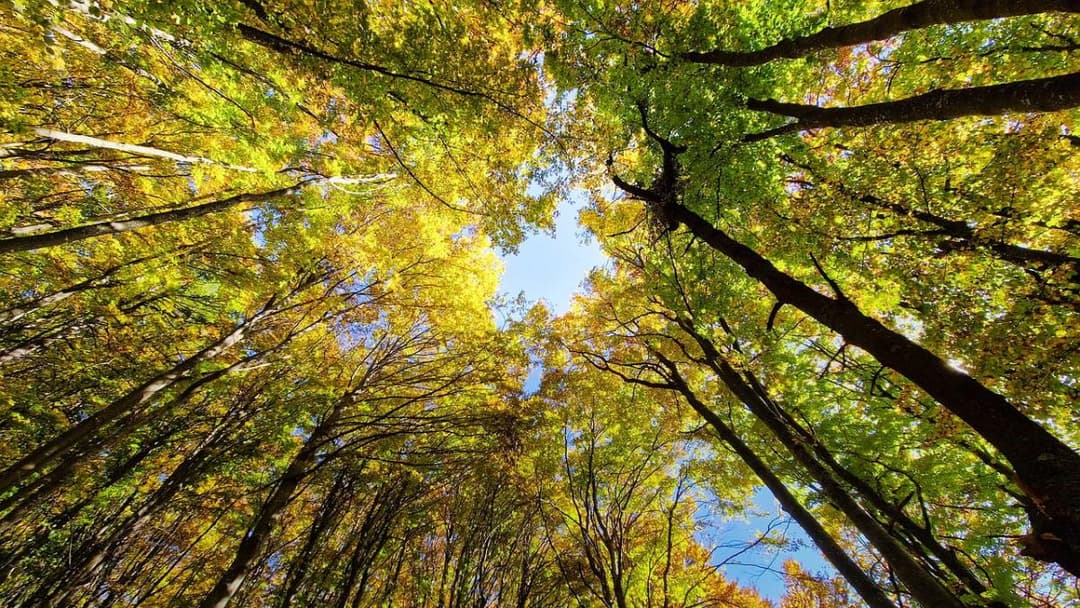 27-29 ოქტომბერს მოსალოდნელი ამინდი საქართველოში