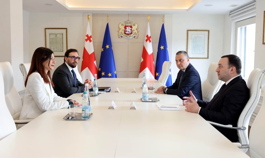 ირაკლი ღარიბაშვილი ირენ ფელინს შეხვდა