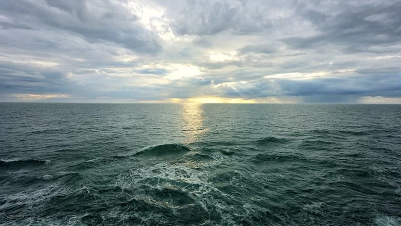 გარემოს ეროვნული სააგენტო – შავი ზღვის წყლის ხარისხი ნორმის ფარგლებშია