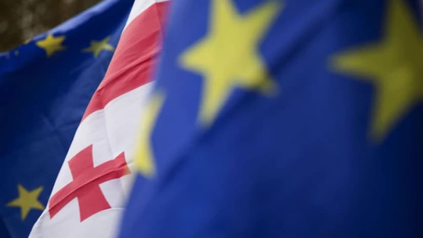 Part of Georgian NGOs request inclusion in working format for EU integration conditions