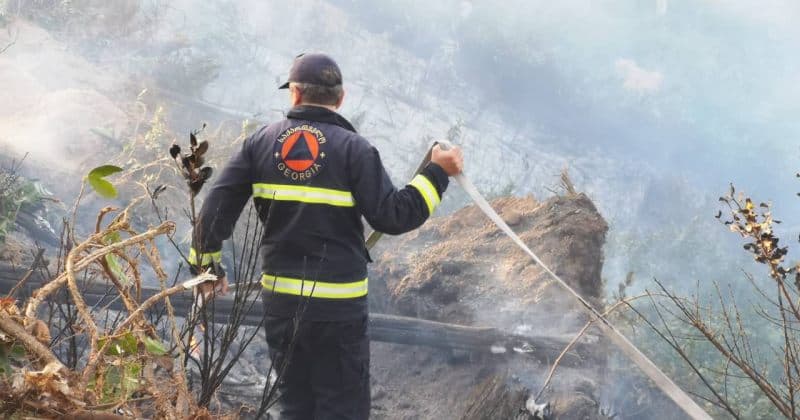 ართანის ტყეში ხანძარი ლიკვიდირებულია