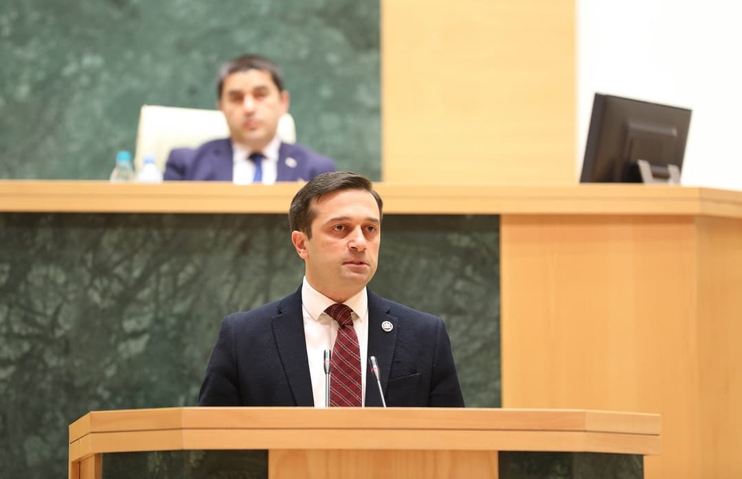 Citizens opposition nominates its MP Ioseliani for new public defender