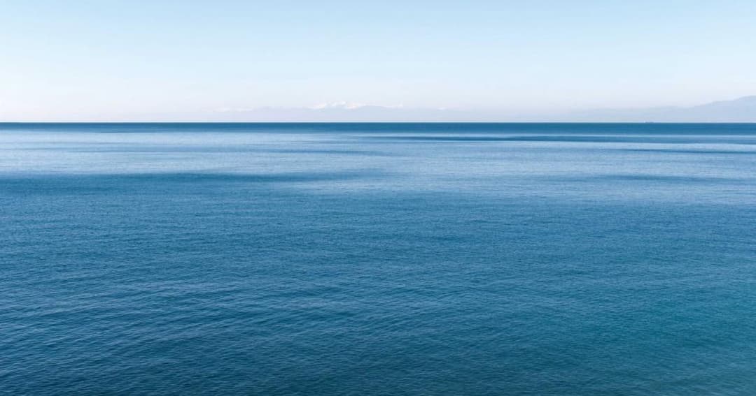 გარემოს ეროვნული სააგენტო – შავი ზღვის წყლის ხარისხი კვლავ ნორმის ფარგლებშია