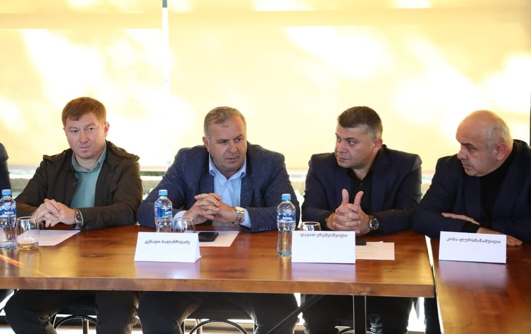 წყალტუბოში პარლამენტის სპორტისა და ახალგაზრდობის საქმეთა კომიტეტის გასვლითი სხდომა გაიმართა