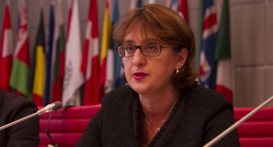 Ex-FM Panjikidze on recalling of Ukrainian ambassador: It’s an extreme measure