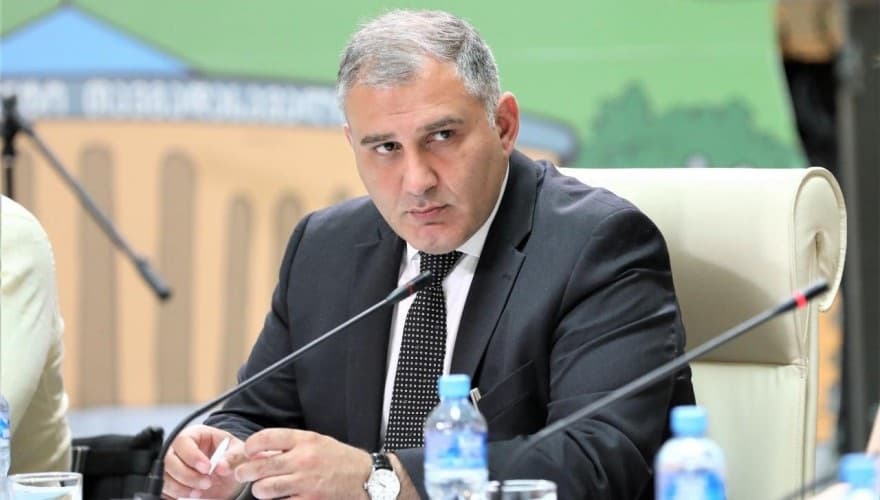 მიხეილ სარჯველაძე – ბავშვის უფლებათა კოდექსმა ერთმნიშვნელოვნად გაზარდა ბავშვის უფლებების დაცვის სტანდარტი