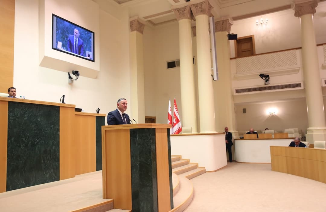 ვახტანგ გომელაური – განვითარებული ქვეყნის პოლიტიკოსი იამაყებდა თავისი სახელმწიფოს სამართალდამცველების მოქმედების სტანდარტით, იმით, რაც ქართულმა პოლიციამ აჩვენა