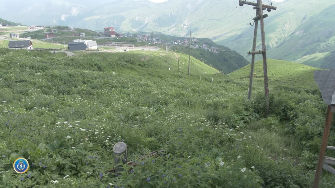 დიდი ოდენობით სახელმწიფო ქონების მოტყუებით დაუფლების ფაქტზე ექვსი პირის მიმართ სისხლისსამართლებრივი დევნა დაიწყო