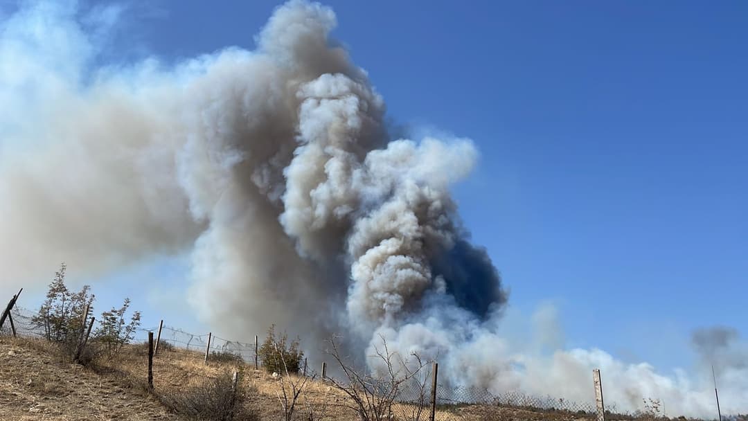 შავნაბადას ტყეში ხანძარი ლოკალიზებულია