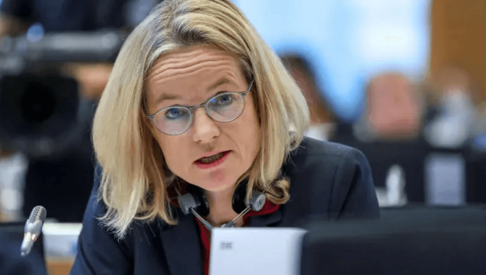 MEP Cramon on Georgian PM’s criticism: ‘very tempting career perspective’