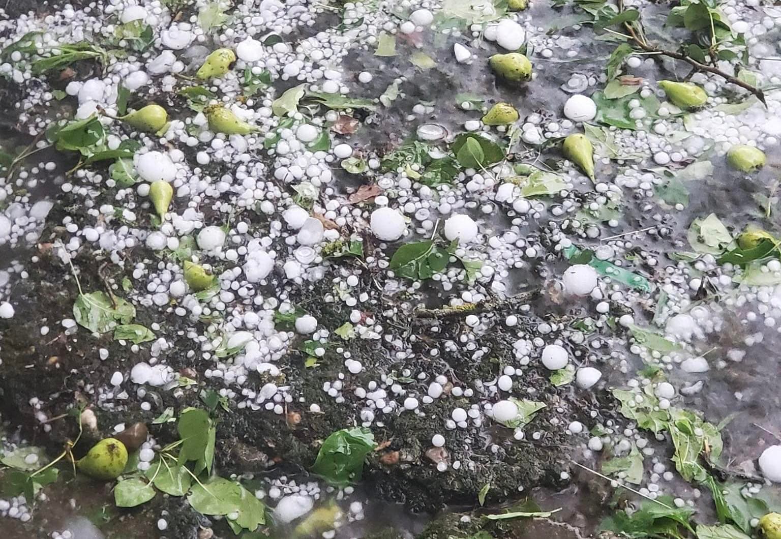 Frontnews image description