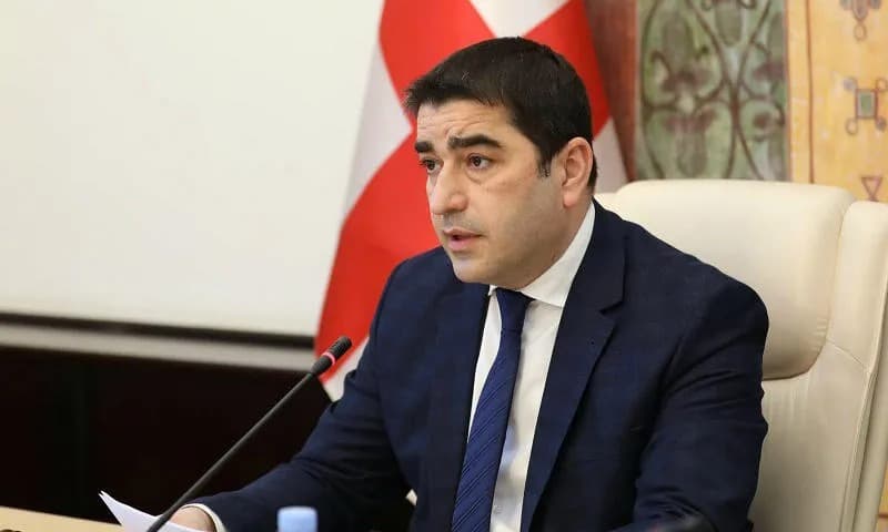 Georgian Parliament Speaker cites audio allegedly between Ivanishvili, Russian oligarch “fake, disinformation”