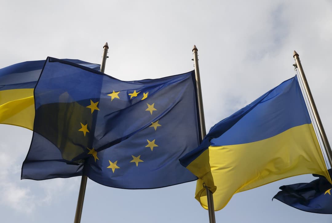 Ukraine has plans to join CoE’s drug policy cooperation platform