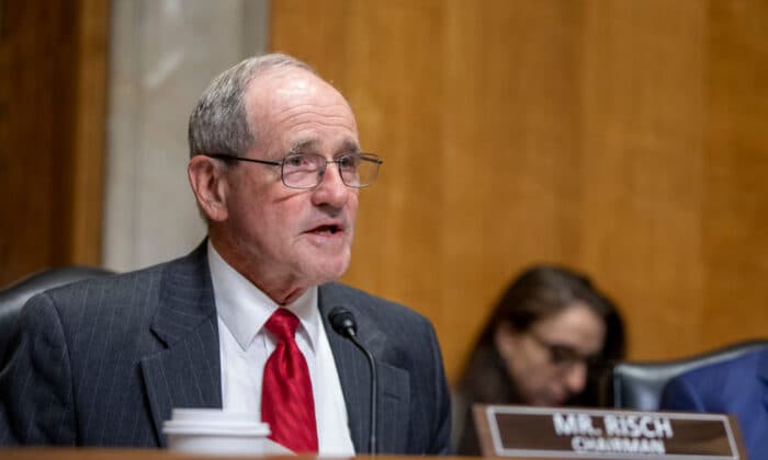 US Senator Jim Risch: Georgian elections were ‘incredibly disappointing’