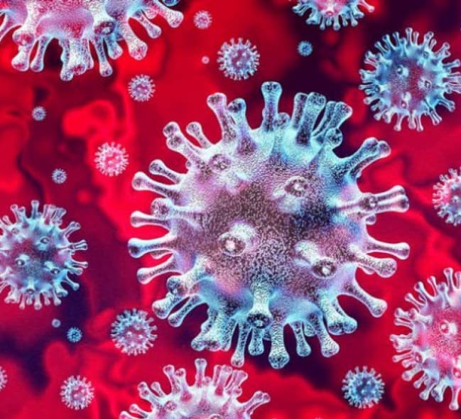 Frontnews image description