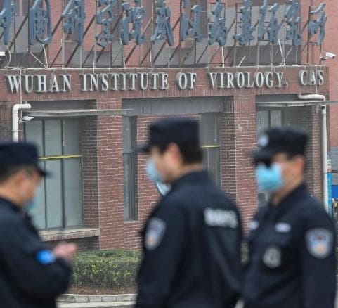WHO team heads to China bat lab at the center of coronavirus conspiracies