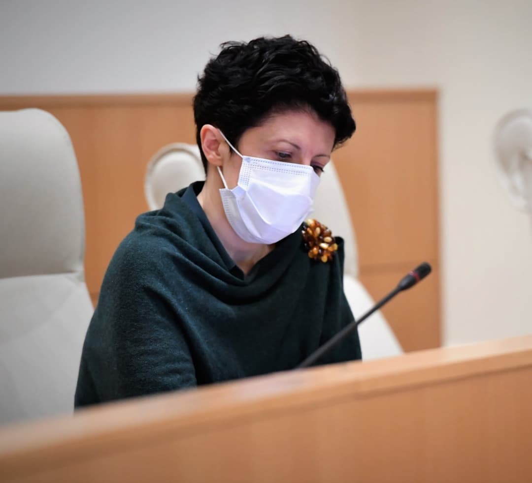 “სალომე ზურაბიშვილზე ნიკა გვარამია თუ იტყვის უხამს სიტყვებს, ეს შეიძლება, მაგრამ თუ მას ამისთვის გავკიცხავ –  მორიგჯერ აწკავწკავდება და იტყვის, რომ დაუშვებელია”