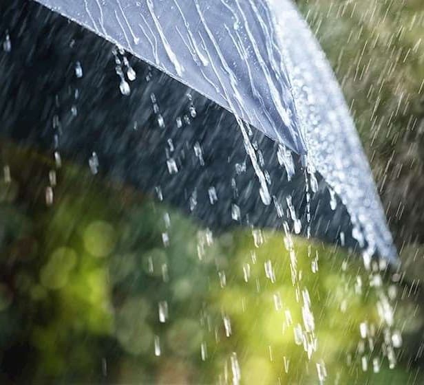 12 თებერვლამდე მოსალოდნელი ამინდი საქართველოში