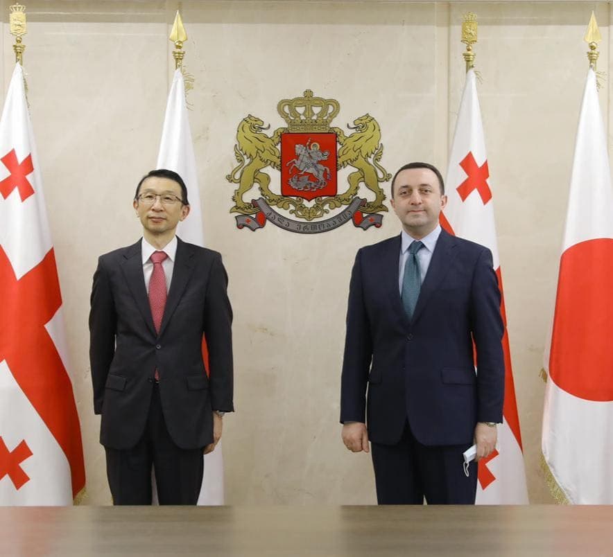 თავდაცვის მინისტრი იაპონიის ელჩს შეხვდა