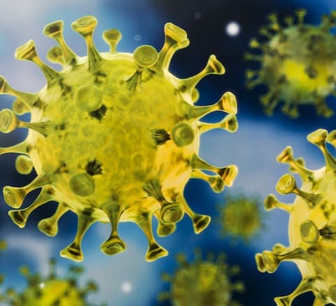 კორონავირუსის გამოვლენის დადებითობის მაჩვენებელი ბოლო 7 დღის განმავლობაში 3%-ს შეადგენს