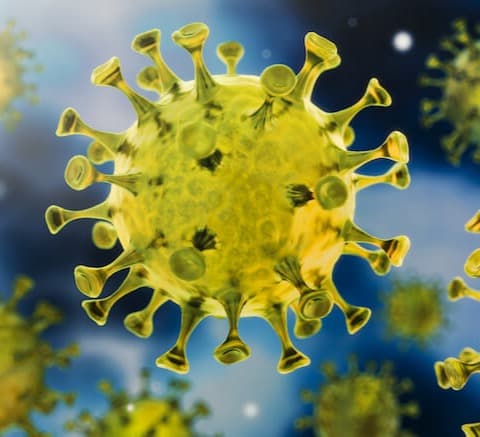 საქართველოში კორონავირუსის 365 ახალი შემთხვევა გამოვლინდა, გამოჯანმრთელდა 539 პაციენტი, 9 გარდაიცვალა