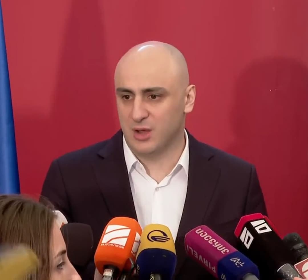 “ლიეტუვის სეიმის საგარეო კომიტეტის თავმჯდომარის ვიზიტი დემოკრატიის გადარჩენას ემსახურება”