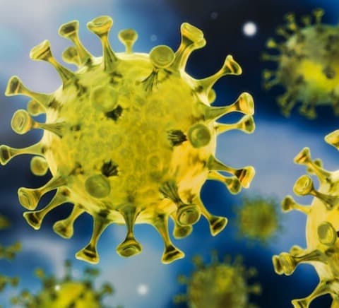 საქართველოში 24 საათში კორონავირუსით 12 ადამიანი გარდაიცვალა