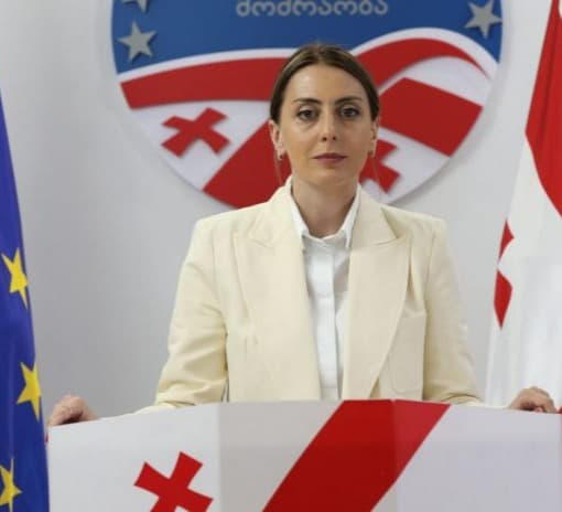 26 თებერვალს ოპოზიცია მსვლელობას გამართავს