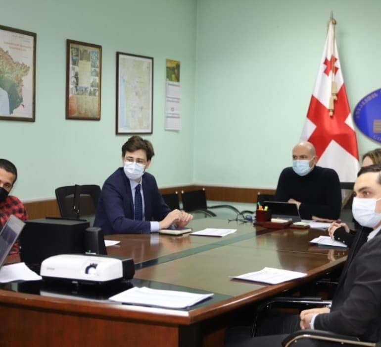 რუსლან აბაშიძემ და თეა ახვლედიანმა აფხაზეთიდან წარმატებულ ახალგაზრდებთან ონლაინ შეხვედრა გამართეს