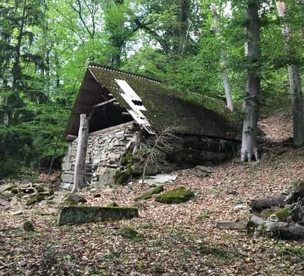 Frontnews image description