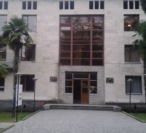 ბაღდათის მუნიციპალიტეტში საკრებულოს წევრები “ქართულ ოცნებას” ტოვებენ