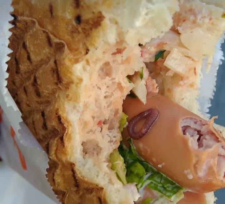 ქუთაისში, საშაურმე “მეაში” მომხმარებელმა ჰოთდოგში ჭიაყელა აღმოაჩინა