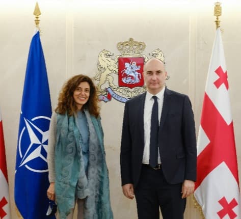 თავდაცვის მინისტრმა ნატო-ს სამეკავშირეო ოფისის ხელმძღვანელს უმასპინძლა